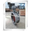 Fluor-Futter Butterfly Butterfly Valve (D31X-42 &quot;)